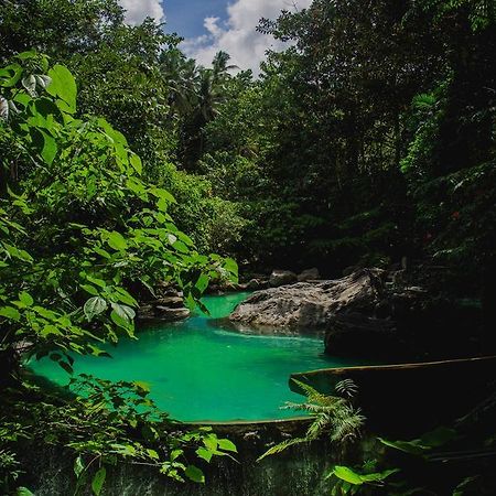 Forest Camp Resort Валенсия Экстерьер фото